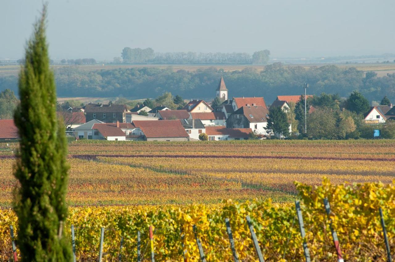 Gaestehaus & Weingut Peth Florsheim-Dalsheim Exterior photo
